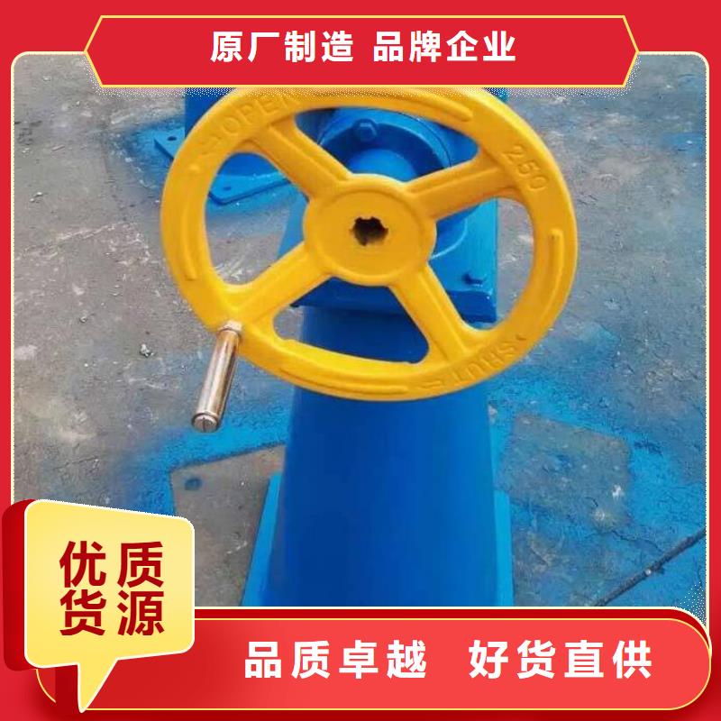 QL30KN螺杆启闭机团队