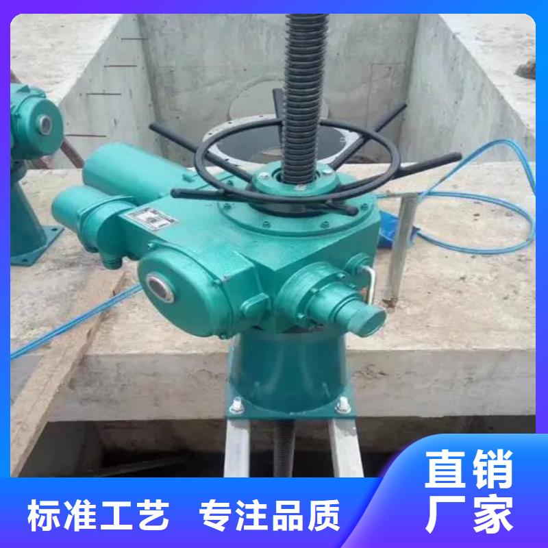 蓝山螺旋启闭机实力老厂