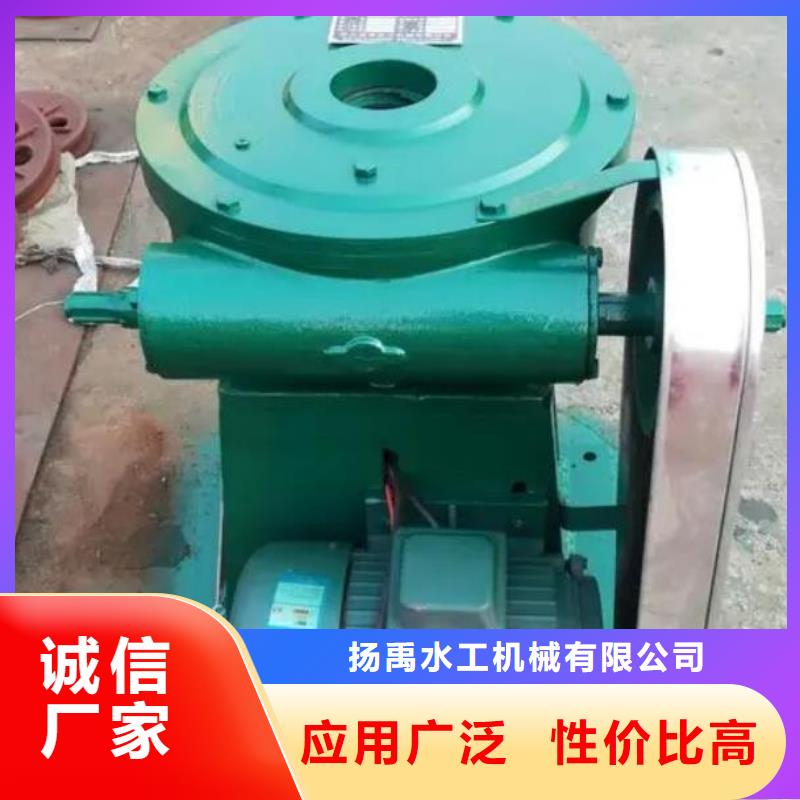 20吨启闭机可定制