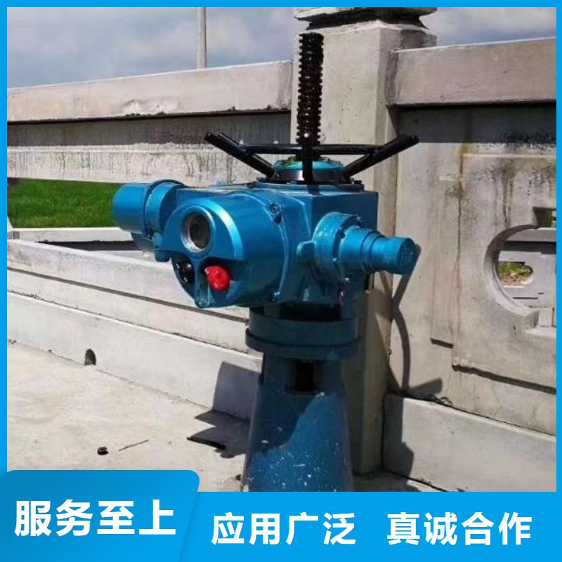 成华12吨手摇启闭机价格公道