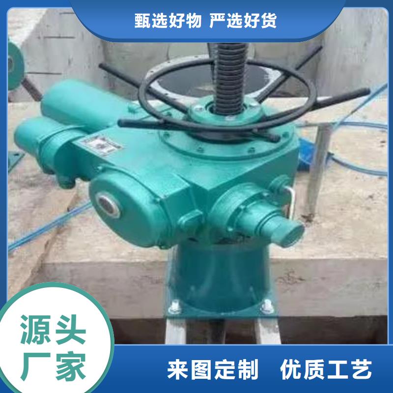 15吨启闭机来图定制