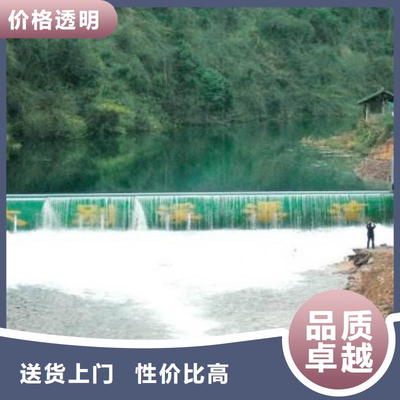 翻板闸门,卷扬启闭机专注细节更放心