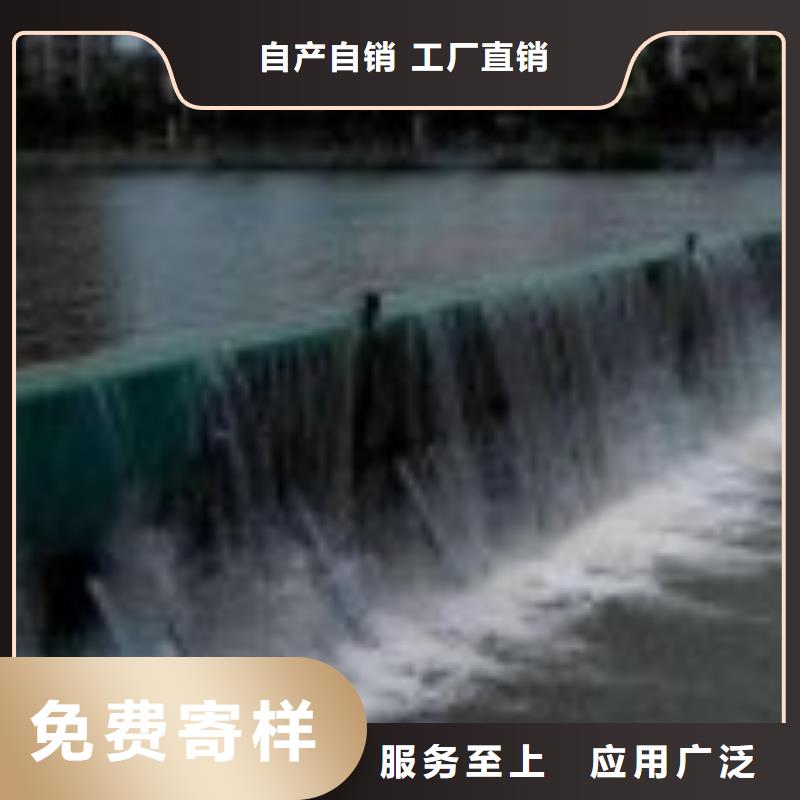 定轮钢制闸门定制价格