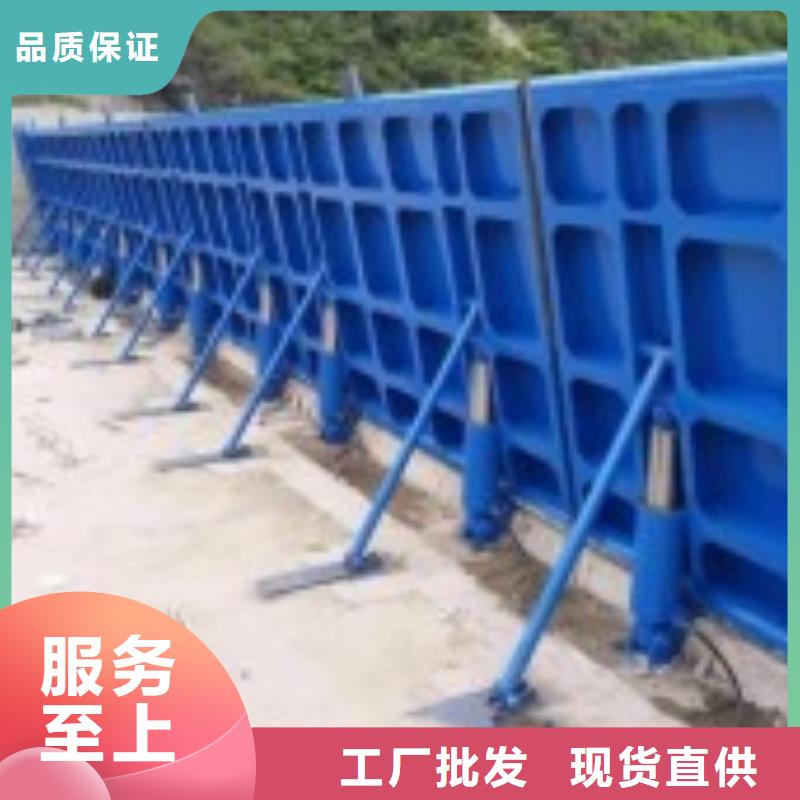 溢洪道闸门定制