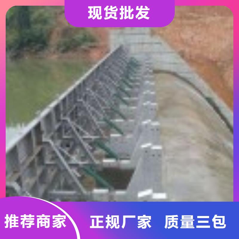 翻板闸门讲信誉保质量