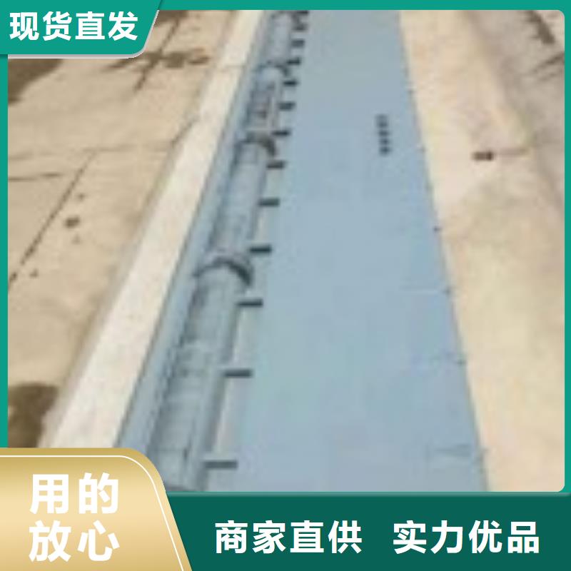 翻板闸门欢迎订购