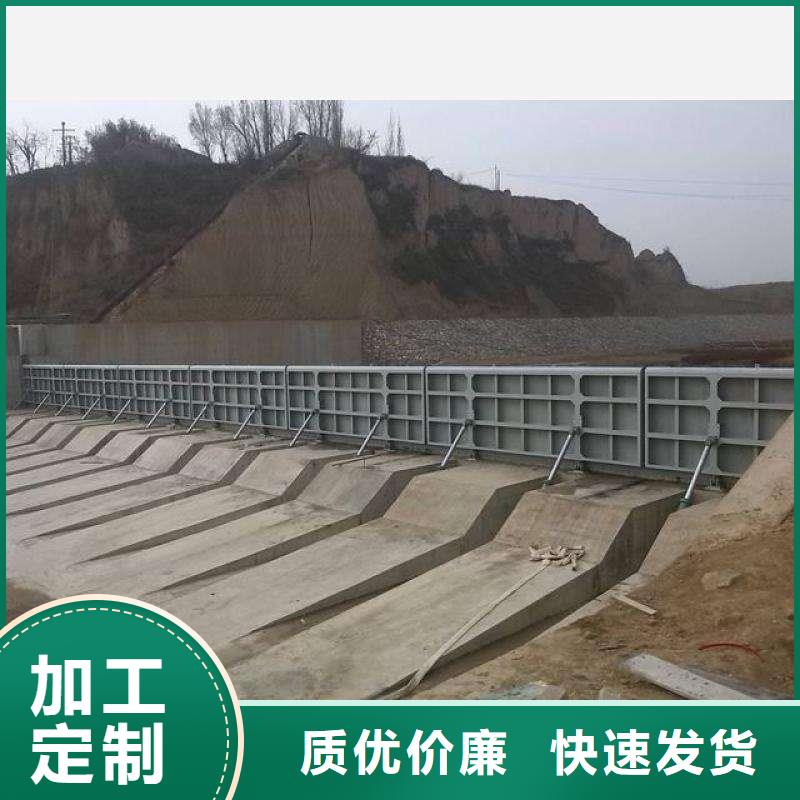 定轮钢制闸门在线咨询