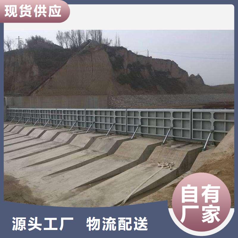 水电站翻板闸门实力雄厚