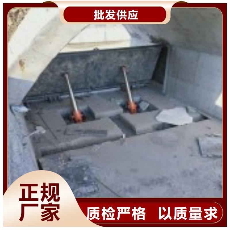 液压钢闸门来图定制