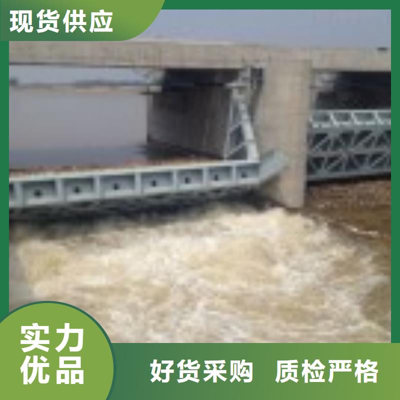 水电站翻板闸门实力雄厚