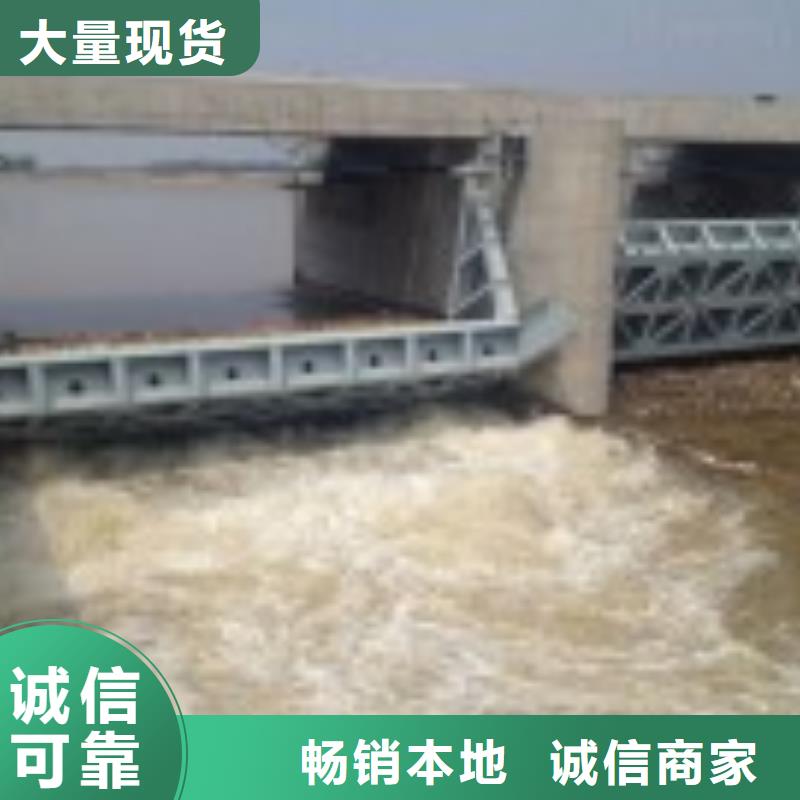 水电站钢闸门实体厂家