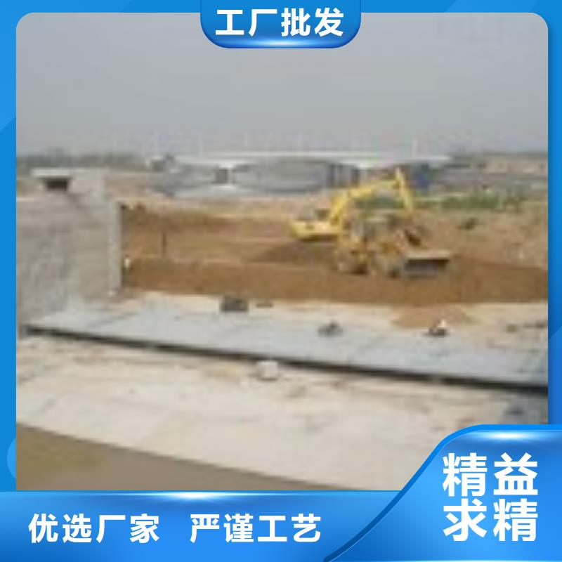 一体化泵闸实力厂家