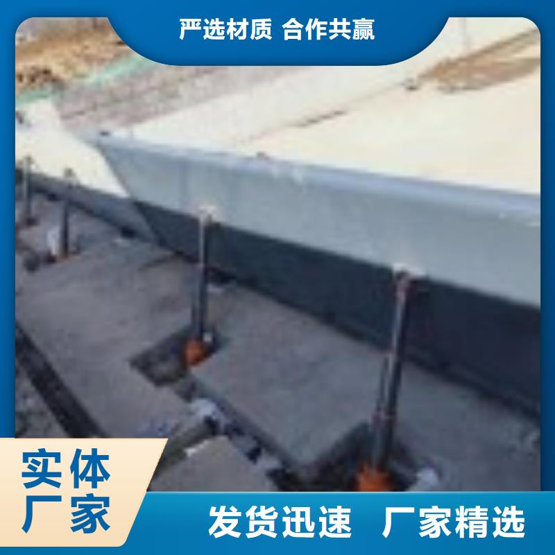 翻板闸门,不锈钢拍门加工定制