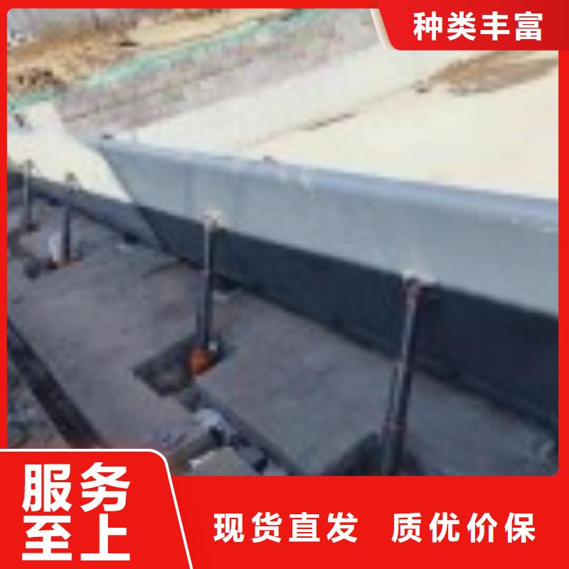 液压驱动翻板闸门批发零售