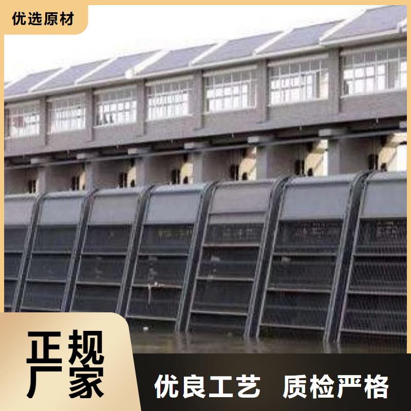 耙齿式清污机实体厂家