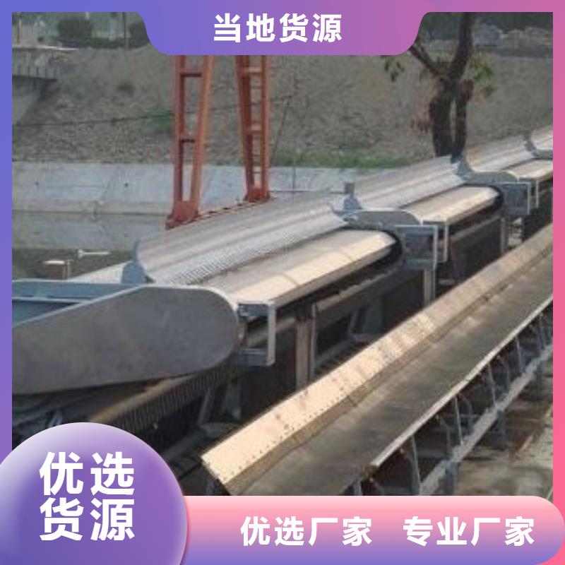 清污机钢制拍门多种款式可随心选择