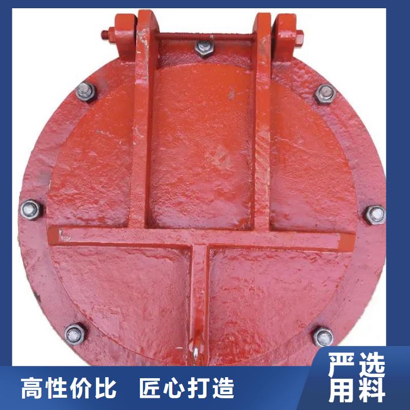 拍门卷闸门实力厂商