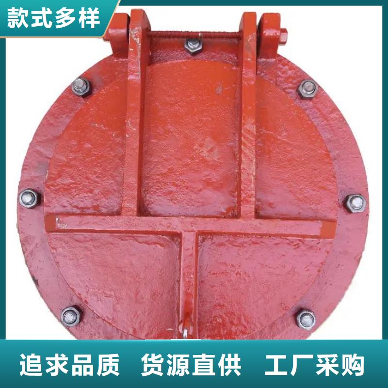 拍门,【钢坝闸门】实力优品
