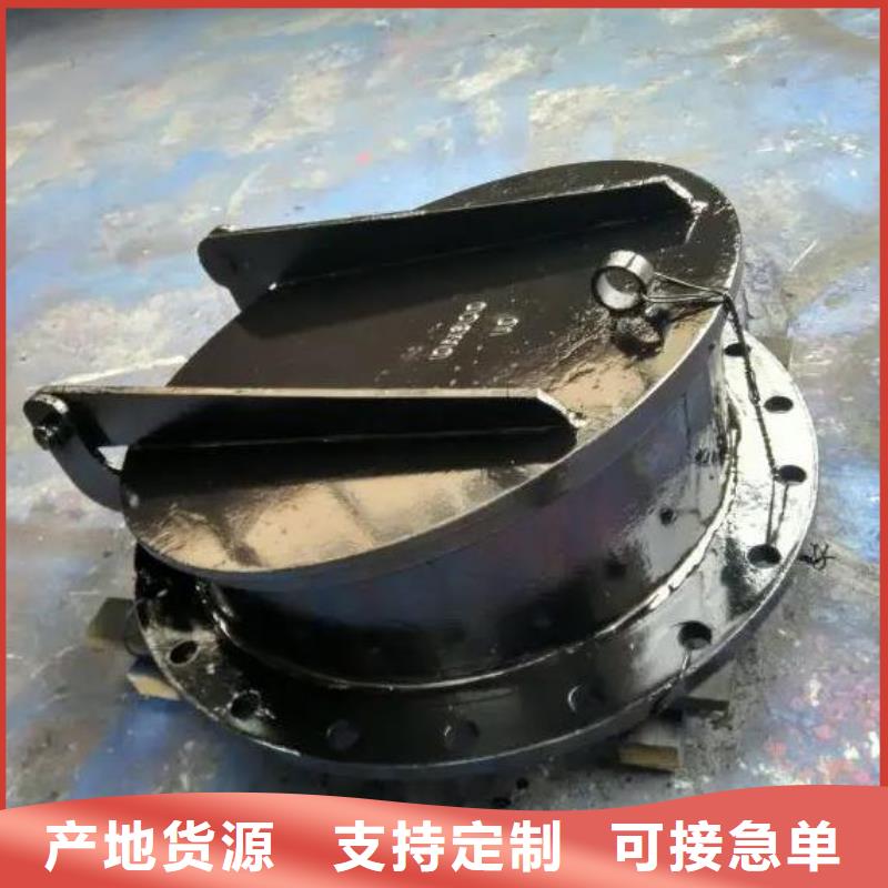 HDPE拍门DN400信息