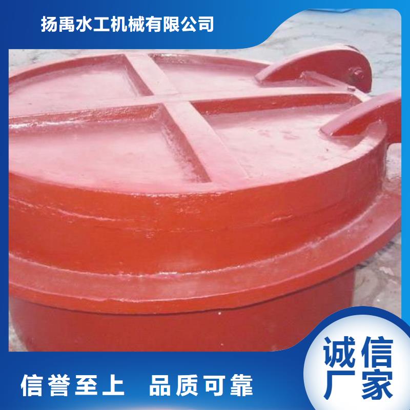 拍门卷扬启闭机老客户钟爱