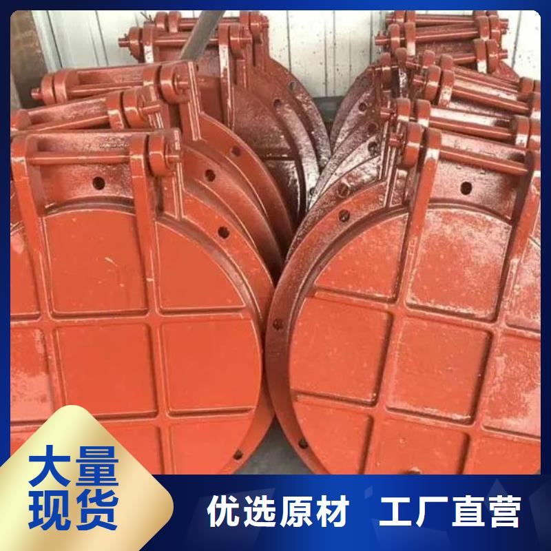 铸铁拍门规格齐全