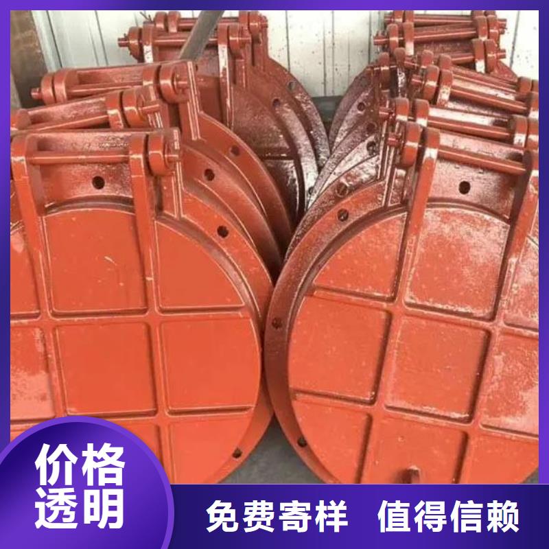 拍门球墨铸铁闸门厂家案例