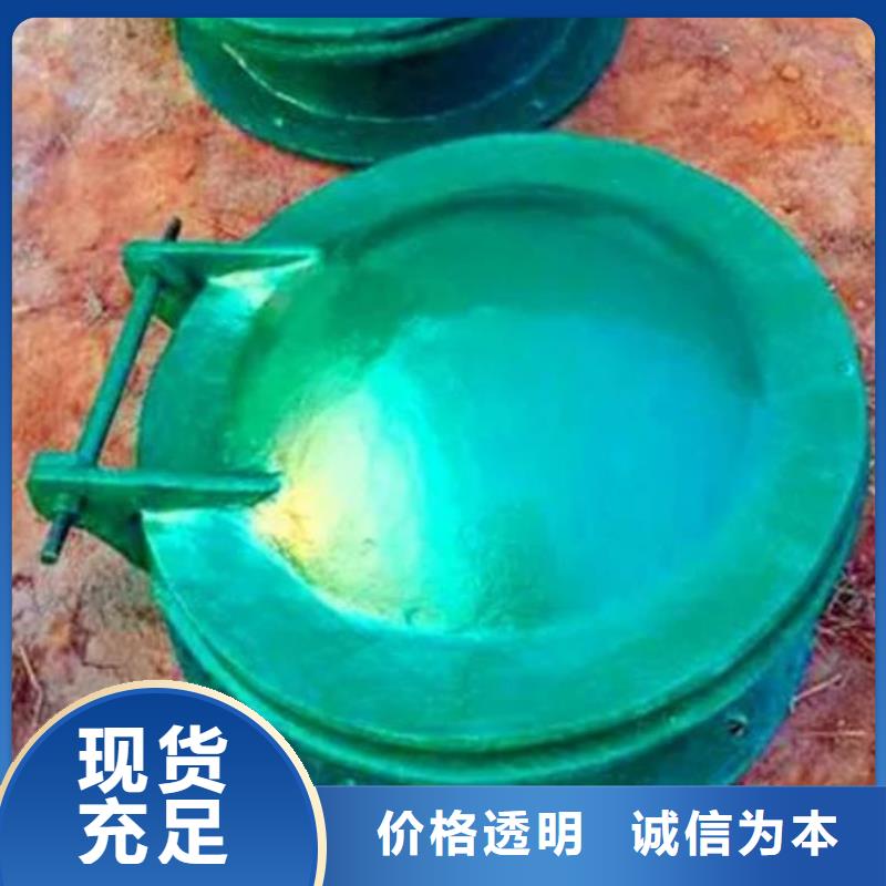 拍门球墨铸铁闸门多年实力厂家