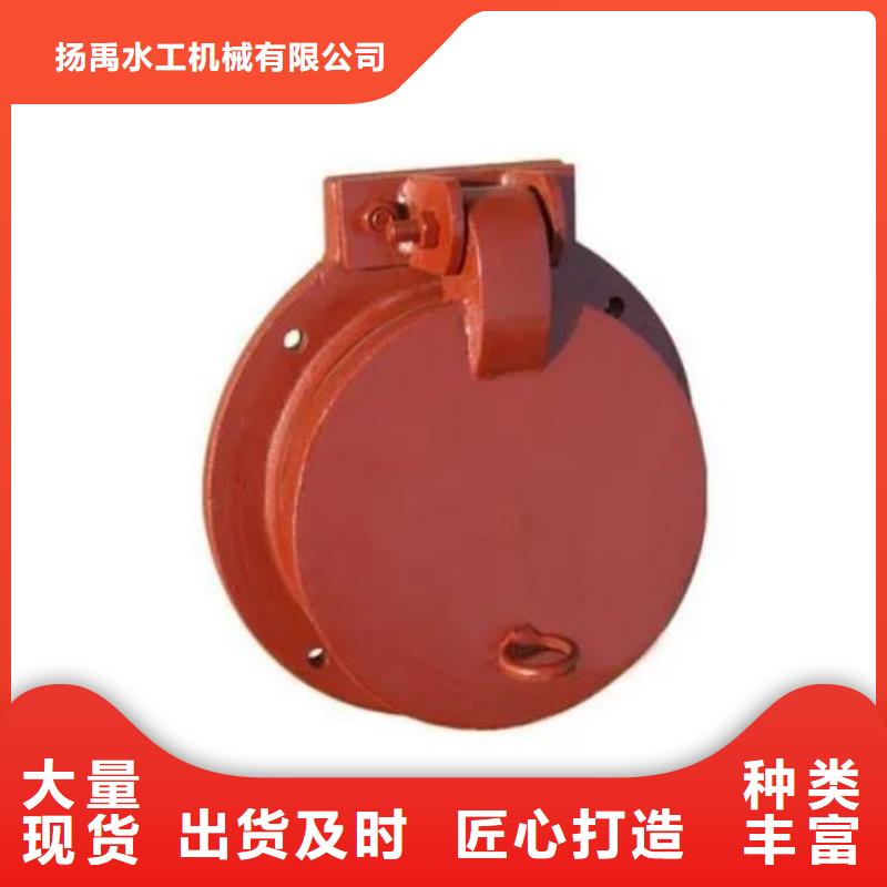 拍门球墨铸铁闸门多年实力厂家