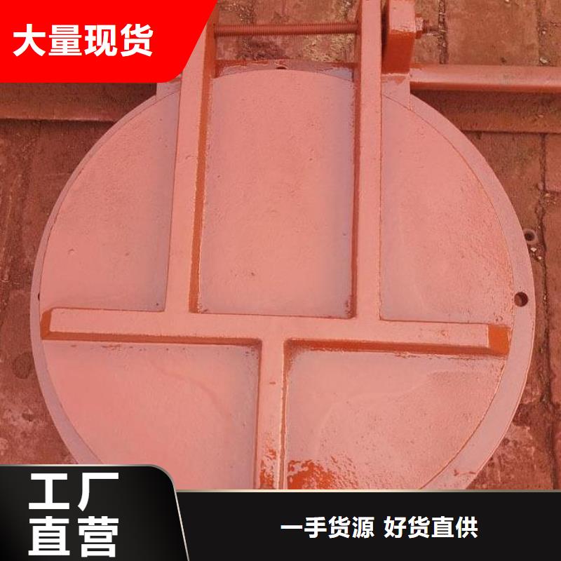 铸铁拍门DN30010年经验