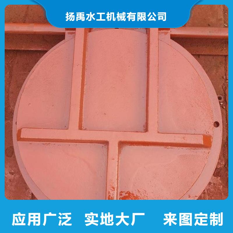 拍门球墨铸铁闸门多年实力厂家