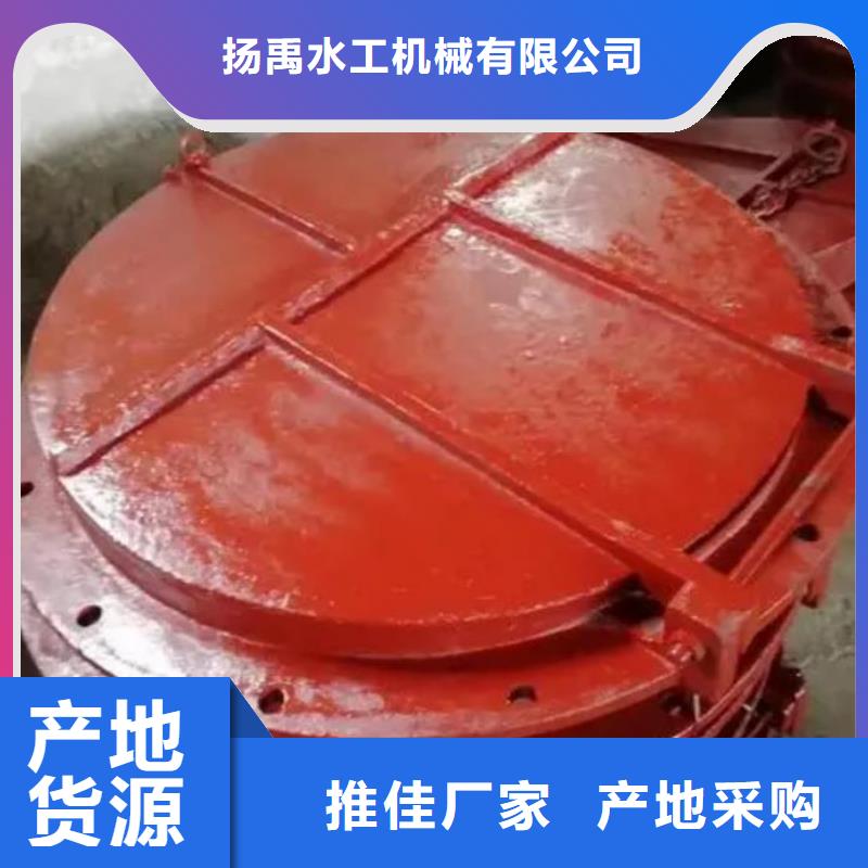 【拍门 铸铁闸门好产品价格低】