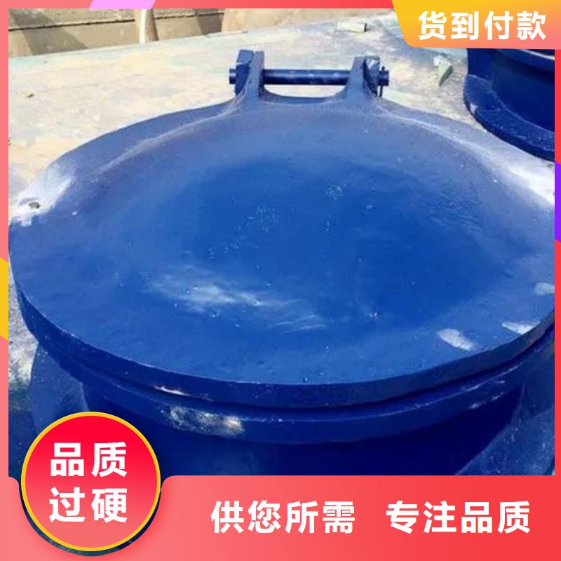 拍门卷闸门实力厂商
