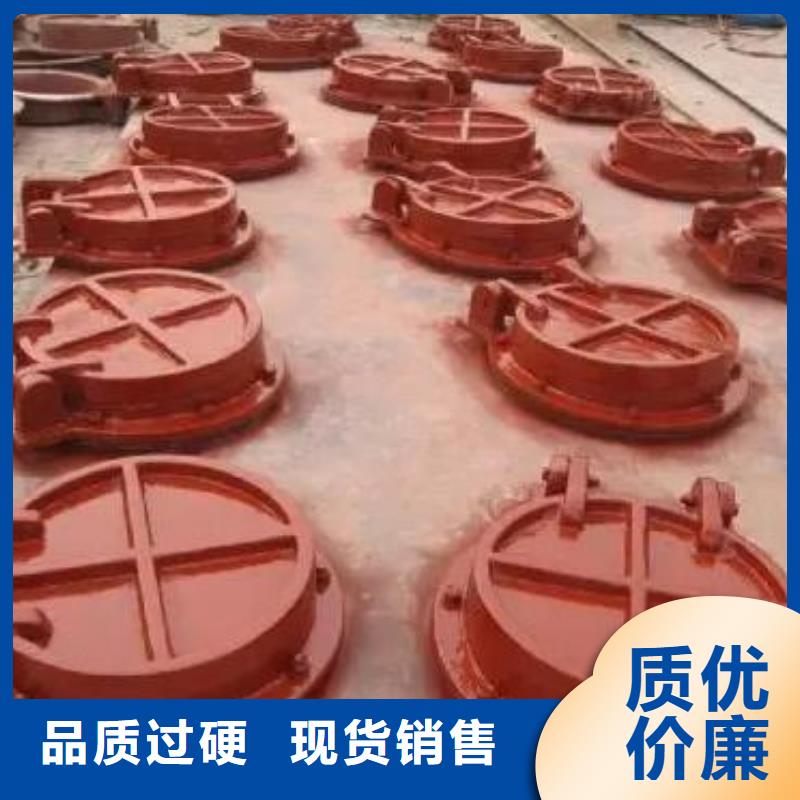 防倒灌拍门品质保障