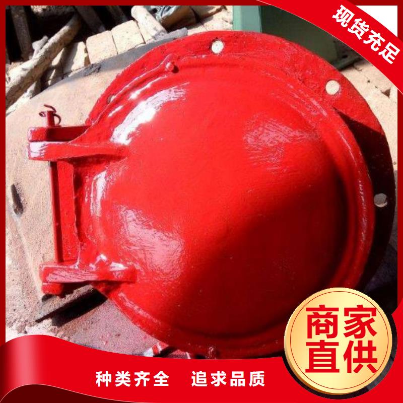 拍门_回转式清污机厂家直接面向客户
