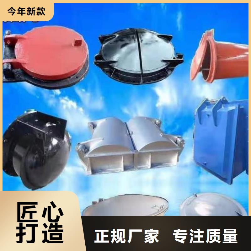 拍门-双向止水闸门实体诚信厂家