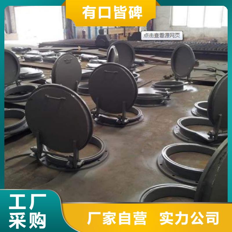 拍门_钢制闸门多种场景适用