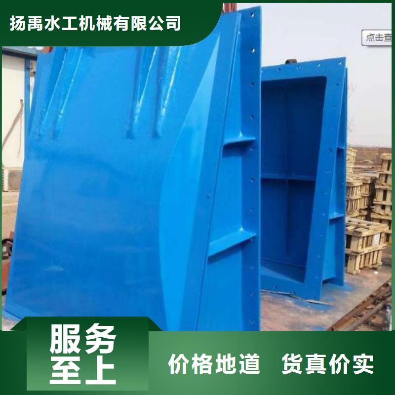 拍门-双向止水闸门实体诚信厂家