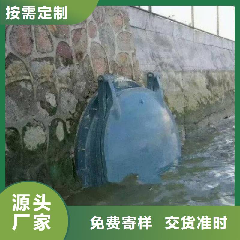 拍门暗杆式启闭机随到随提
