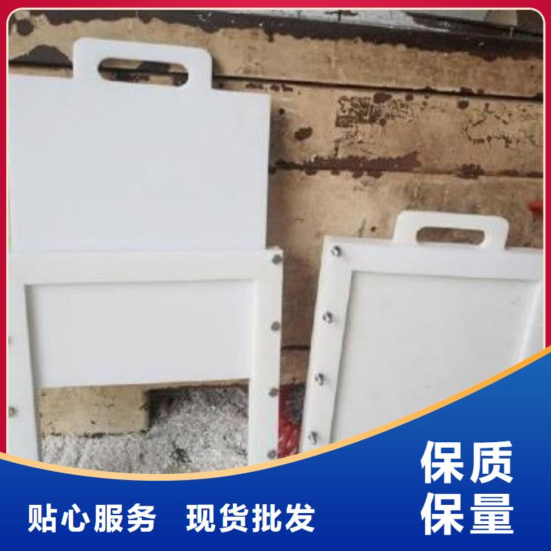【塑料闸门钢制拍门厂家订购】