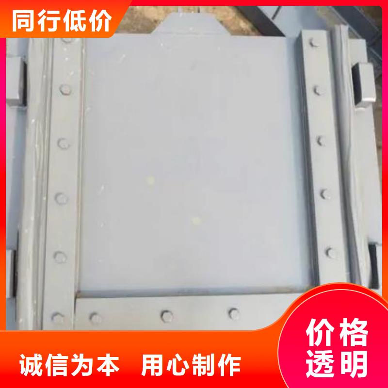 塑料闸门 机闸一体式闸门产地货源