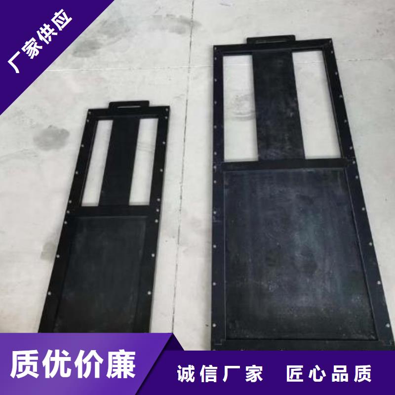 塑料闸门铸铁拍门专业厂家
