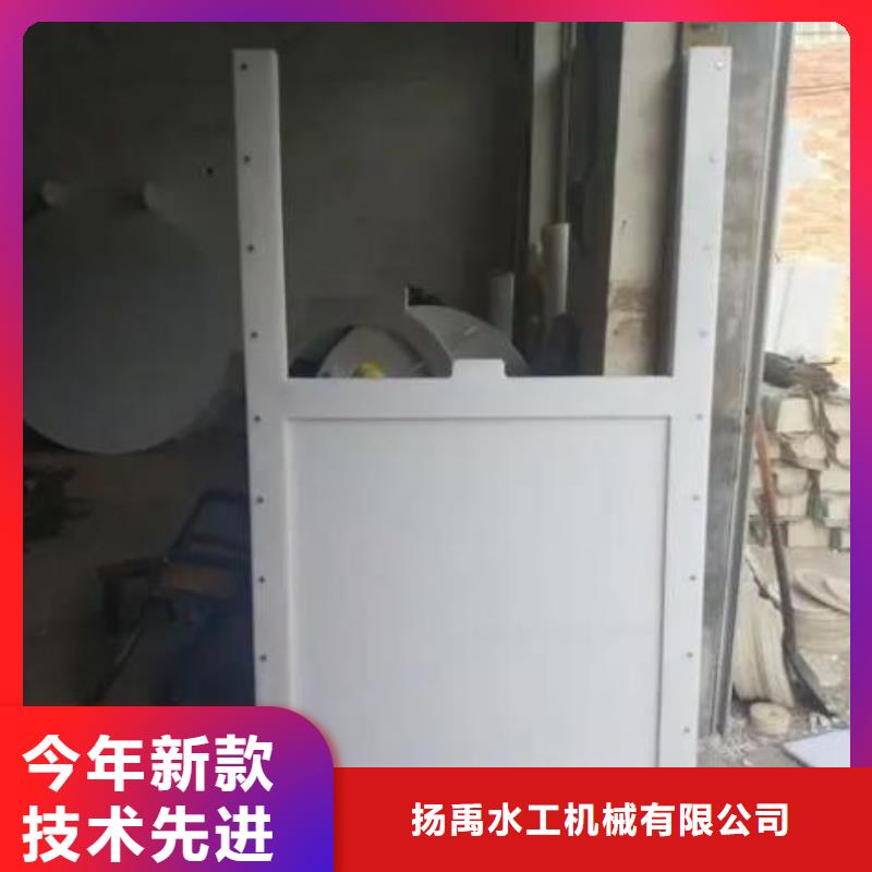 枣阳市塑料闸门DN400批发价格