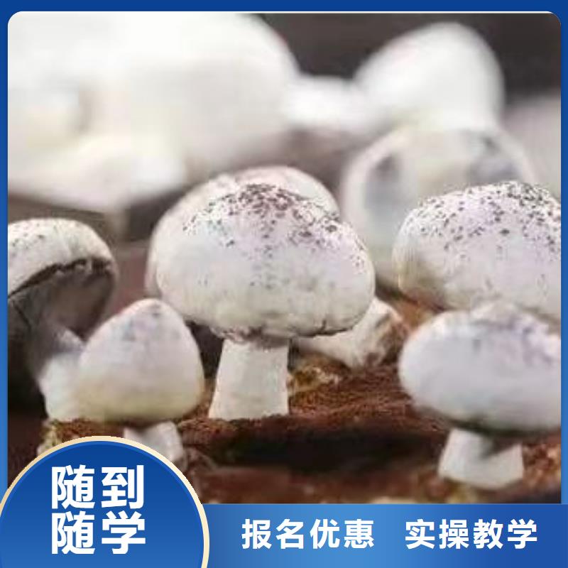定州正规中西糕点培训技校报名电话是多少免费工作