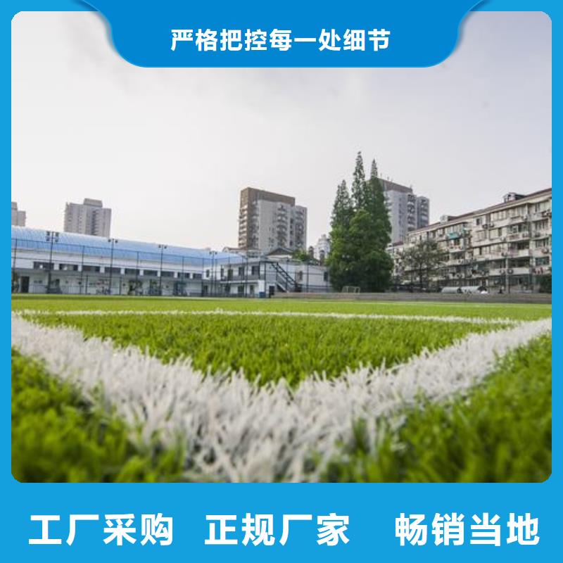学校塑胶跑道PVC地板球场厂家标准