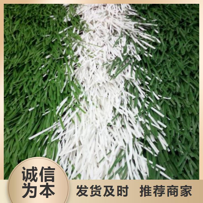 塑胶跑道_EPDM塑胶颗粒优选好材铸造好品质