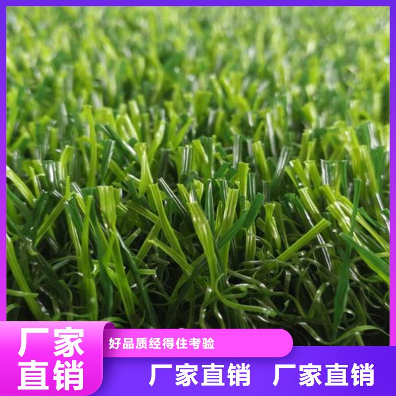 塑胶跑道校园塑胶跑道种类多质量好