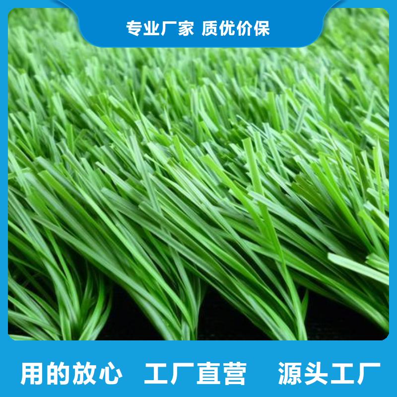 塑胶跑道_PVC地板厂家现货供应