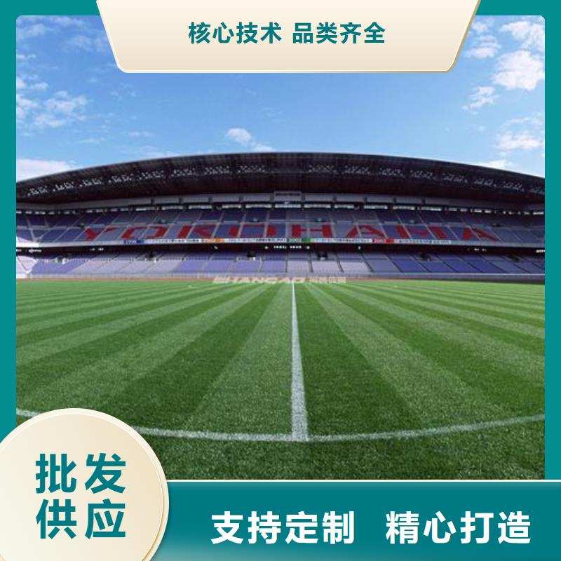 优质塑胶跑道施工的厂家