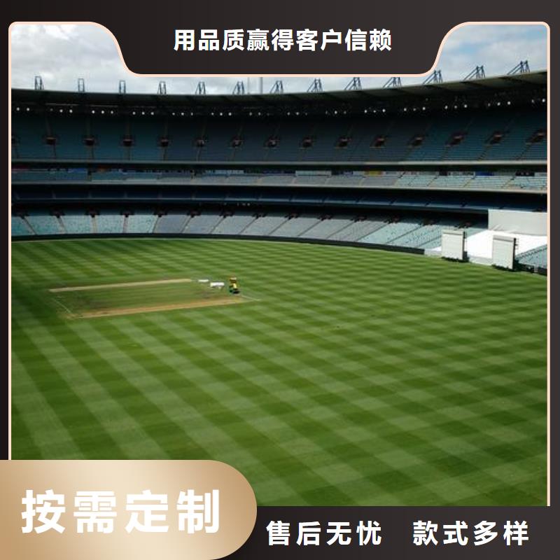 东方市人造草坪批发查看详情