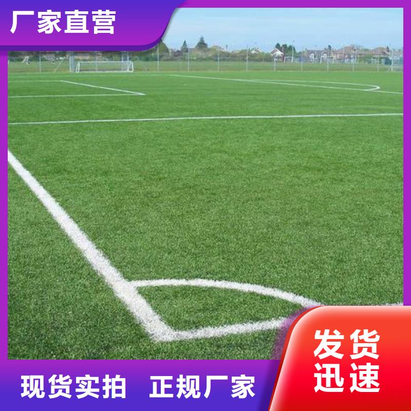 幼儿园塑胶跑道厂家价格实惠的厂家